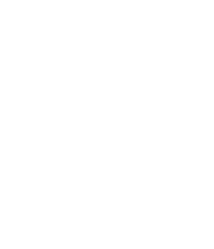 ensemble chromoson